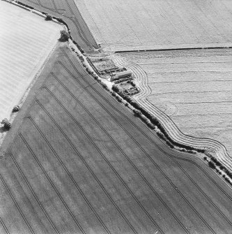 Oblique aerial photograph centred on the cropmark of a fort, taken from the NW.
