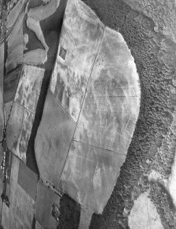 East Field, Inveresk: oblique air photograph of homestead, enclosures and pit alignment.
Harding 78/001/9-11