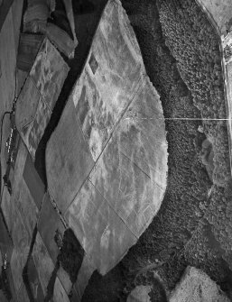 East Field, Inveresk: oblique air photograph of homestead, enclosures and pit alignment.
Harding 78/001/9-11