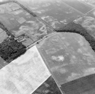 East Field, Inveresk and Castlesteads: oblique air photograph of pit-alignments, enclosure, cultivation remains and cropmarks