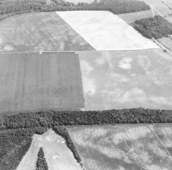 East Field, Inveresk and Castlesteads: oblique air photograph of pit-alignments, enclosures, homestead, cultivation remains and cropmarks