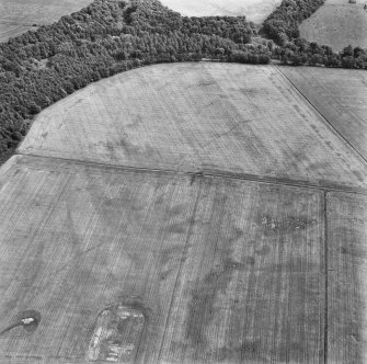 Eastfield, Inveresk: oblique air photograph of enclosure and pit-alignment