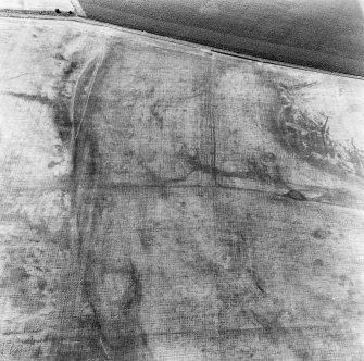 Howe Mire, settlement and cropmarks: oblique air photograph