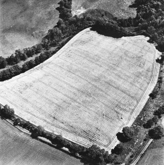 Middlestead, oblique aerial view, taken from the W, centred on the cropmarks of an enclosure. The settlement at Mote Linn is also visible in the centre right of the photograph.