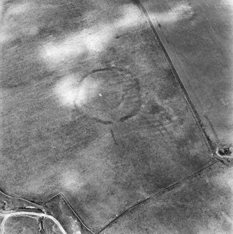 Huntly Burn, oblique aerial view, taken from the E, centred on the cropmarks of two settlements, and an area of rig and furrow cultivation.