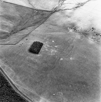 Oakwood Roman Fort, oblique aerial view, taken from the NW.