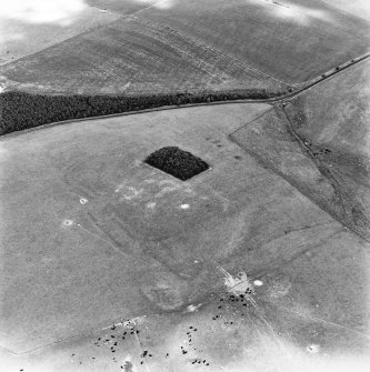Oakwood Roman Fort, oblique aerial view, taken from the SSW.