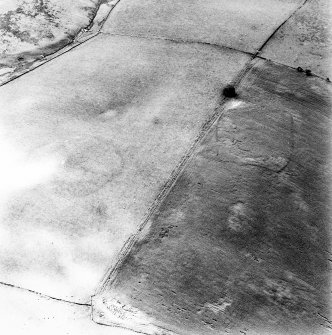 Huntly Burn, oblique aerial view, taken from the NE, centred on the cropmarks of a possible settlement. The cropmarks of a second settlement and rig are visible in the left centre of the photograph.