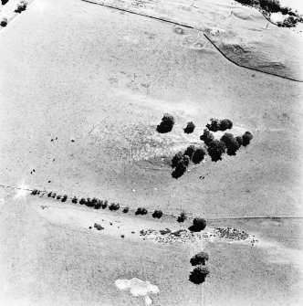 North Synton, oblique aerial view taken from the NW, centred on the fort