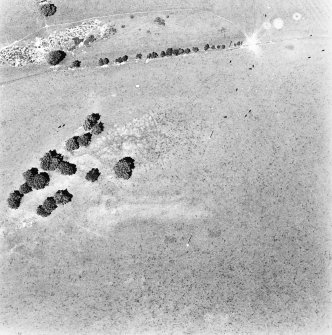 North Synton, oblique aerial view taken from the SE, centred on a fort