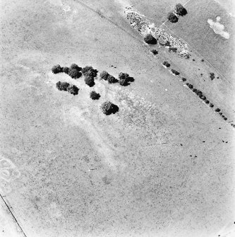 North Synton, oblique aerial view taken from the E, centred on a fort