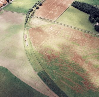 Oblique aerial view of Caddonlee centred on the cropmarks of two enclosures, taken from the NE.