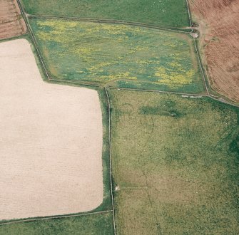 Oblique aerial view of Newhall centred on the cropmarks of a possible ring-ditch, taken from the ESE.
