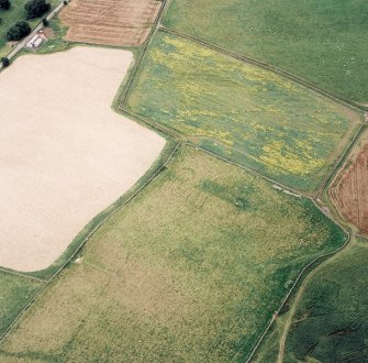Oblique aerial view of Newhall centred on the cropmarks of a possible ring-ditch, taken from the ENE.