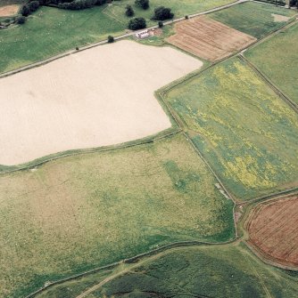 Oblique aerial view of Newhall centred on the cropmarks of a possible ring-ditch, taken from the NE.