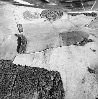 Oblique aerial view centred on the remains of enclosures, taken from the WSW.