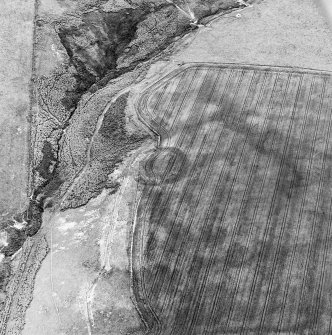 Fairneylees, oblique aerial view, taken from the SE, centred on the cropmark of a scooped settlement.