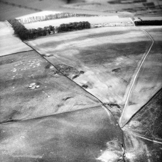 Oblique aerial view.