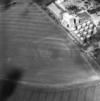 Oblique aerial view centred on the cropmarks of the fort with enclosure and maltings adjacent, taken from the SE.