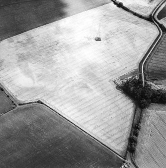 Oblique aerial view centred on the cropmarks of the settlement and enclosure, taken from the WNW .