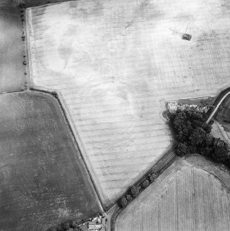 Oblique aerial view centred on the cropmarks of the settlement and enclosure, taken from the WSW .