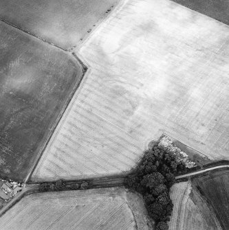 Oblique aerial view centred on the cropmarks of the settlement and enclosure, taken from the SW .