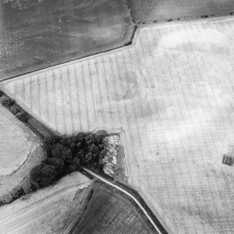 Oblique aerial view centred on the cropmarks of the settlement and enclosure, taken from the SSE .