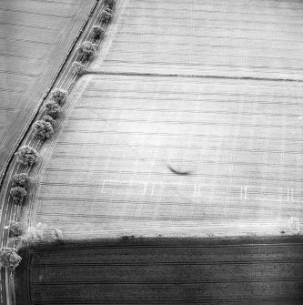 Oblique aerial view centred on the cropmarks of the pit-alignment, taken from the NW.