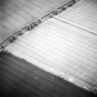 Oblique aerial view centred on the cropmarks of the pit-alignment, taken from the WNW.