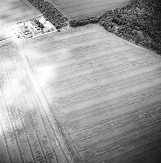 Oblique aerial view centred on the cropmarks of the enclosure, taken from the E.