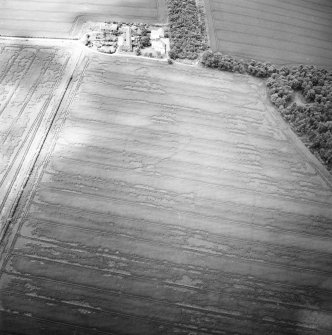 Oblique aerial view centred on the cropmarks of the enclosure, taken from the ENE.