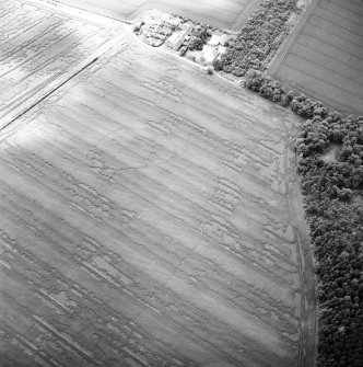 Oblique aerial view centred on the cropmarks of the enclosure, taken from the NE.