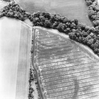 Redhouse Dean, oblique aerial view, taken from the ENE, centred on the cropmarks of a fort.