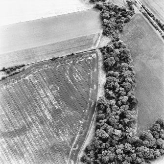 Redhouse Dean, oblique aerial view, taken from the N, centred on the cropmarks of a fort.