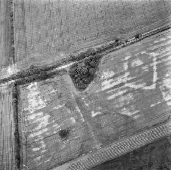 Oblique aerial view.