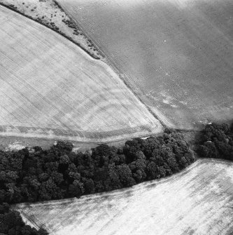Oblique aerial view of Redhouse Dean fort.