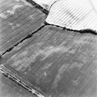 Ballencrieff Mains, oblique aerial view, taken from the NNE, centred on cropmarks including an enclosure, settlement and linear cropmark. The route of a dismantled railway line is visible in the bottom right-hand corner of the photograph.