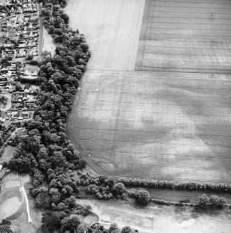 Longniddry Dean, oblique aerial view, taken from the NNW, centred on the cropmarks of a settlement.