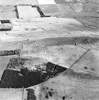 Aerial view of Bonchester Hill fort, settlement and cultivation remains, Bonchester Hill enclosure, and Bonchester Hill settlement taken from the NW.