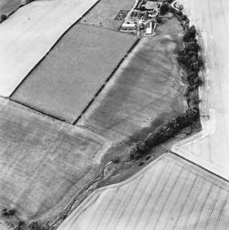 Milrighall, oblique aerial view, taken from the SE, centred on cropmarks of a Roman Camp.