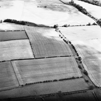 Milrighall, oblique aerial view taken from the SW, centred on th cropmarks of a Roman Temporary Camp.
