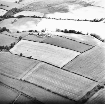 Milrighall, oblique aerial view taken from the SW, centred on the cropmarks of a Roman Temporary Camp.