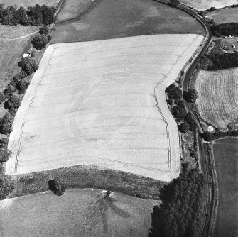 Riddell, oblique aerial view, taken from the SW, centred on the cropmarks of a fort.