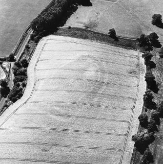 Riddell, oblique aerial view, taken from the NE, centred on the cropmarks of a fort.