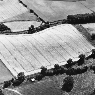 Riddell, oblique aerial view, taken from the NNW, centred on the cropmarks of a fort.