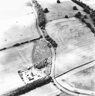 Riddell, oblique aerial view taken from the NE, centred on the cropmarks of a fort.
