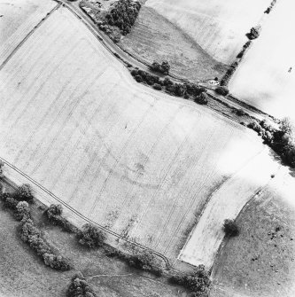 Riddell, oblique aerial view taken from the NW, centred on the cropmarks of a fort.