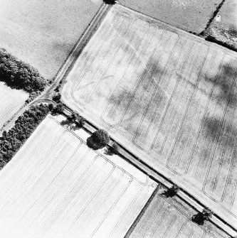 Hillhead, oblique aerial view taken from the W, centred on the cropmarks of a settlement.