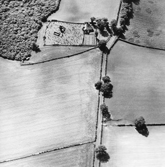 Oblique aerial view centred the cropmarks of the field boundary with church, burial ground and burial enclosure adjacent, taken from the NE.