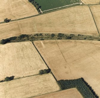 Newstead, Roman fort and temporary camps: air photograph showing fort (NT 569 344), Southern annexe (NT 569 341), Eastern annexe (NT 572 343), annexe (NT 571 343), 'Great camp' complex of temporary camps (NT 574 341), and 40-acre and 160-acre temporary camps (NT 570 337 and NT 567 337 respectively).
